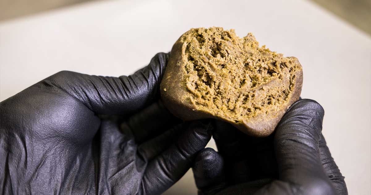 Vieillissement du hash marocain