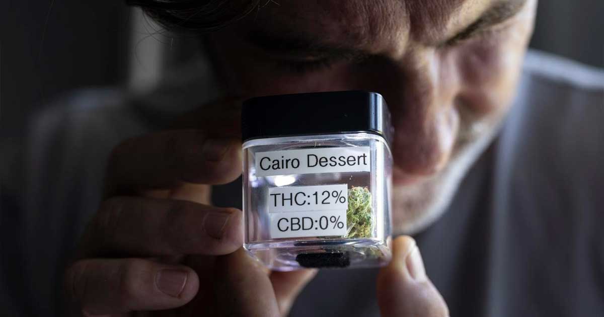Cannabis légal en Suisse