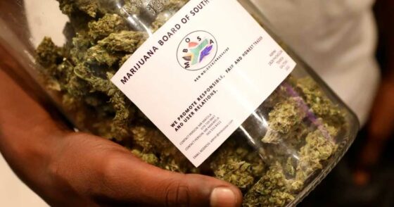 En Afrique du Sud, la légalisation du cannabis cherche encore sa place