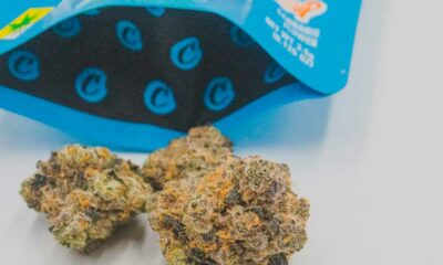 Cookies problèmes de finances