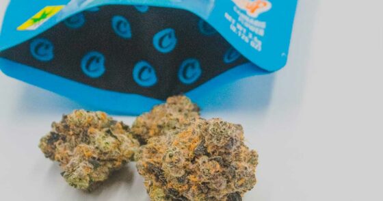 Ca tangue (financièrement) pour Cookies