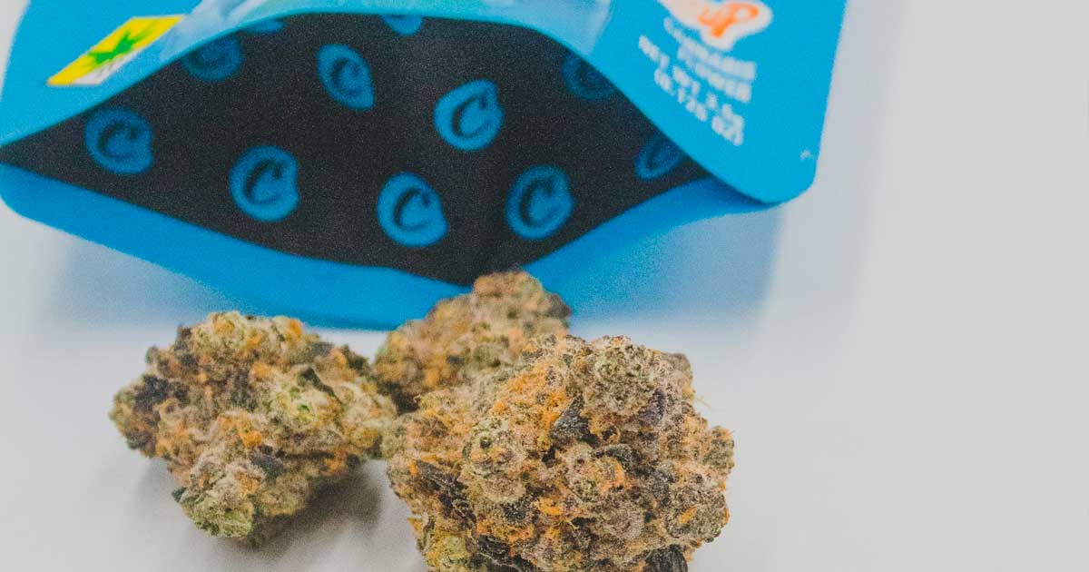 Cookies problèmes de finances