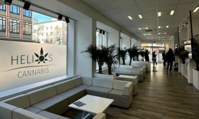 Restrictions sur le cannabis médical en Allemagne