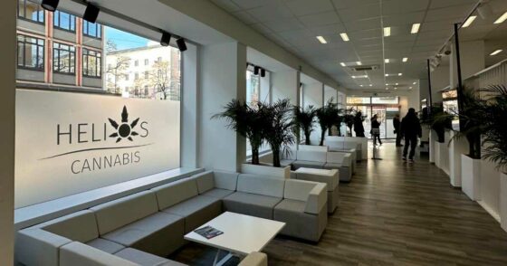 Pourquoi le Bundesrat allemand veut remanier en profondeur le marché du cannabis médical