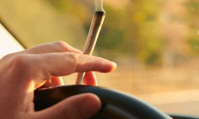 Conduite et THC dans le sang