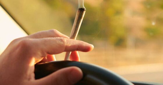 Les niveaux de THC dans le sang ne reflètent pas l’affaiblissement des facultés, selon une nouvelle étude