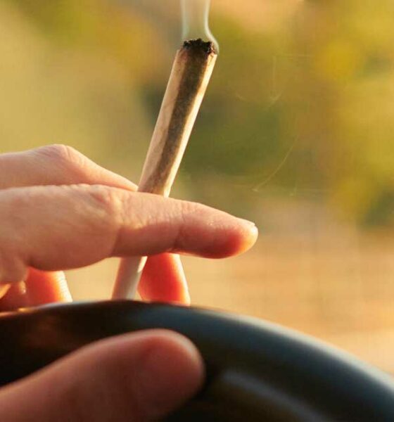 Conduite et THC dans le sang