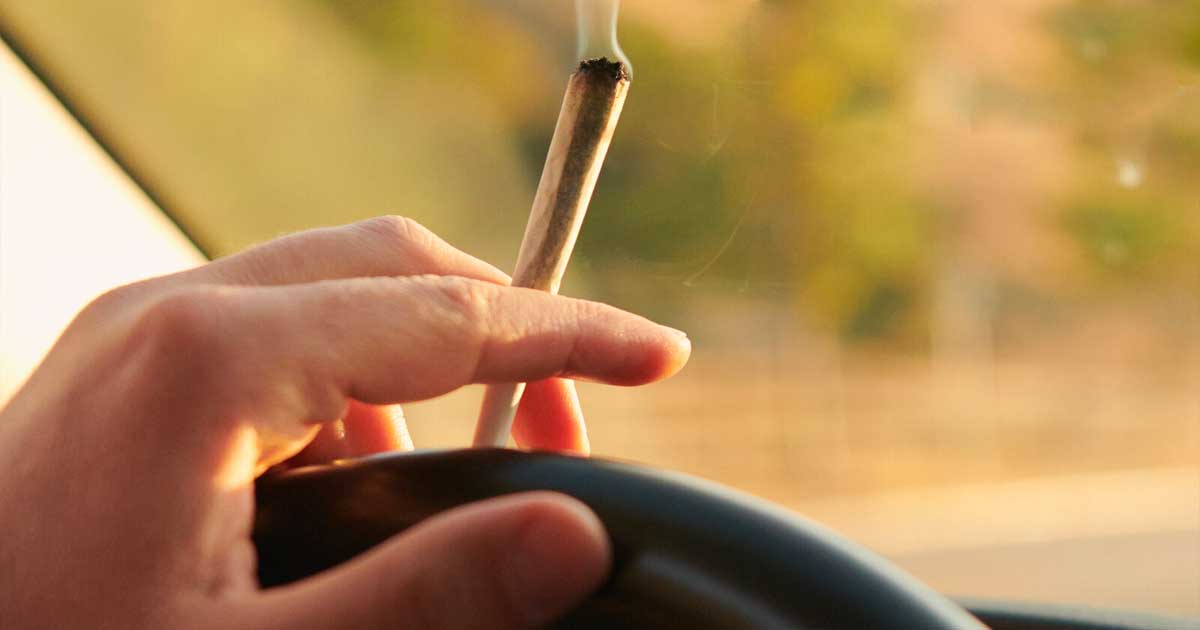 Conduite et THC dans le sang