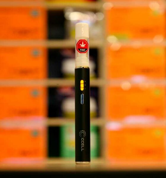 Vape pen au cannabis au Québec