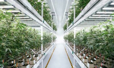 Cronos rachète Canadelaar