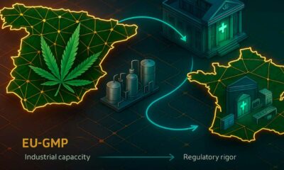 Cannabis médical en France et en Espagne