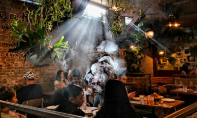 Cannabis lounges au Massachusetts