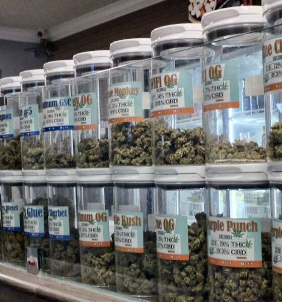 Ohio souhaite bloquer le cannabis du Michigan