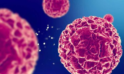 Action antitumorale du CBD