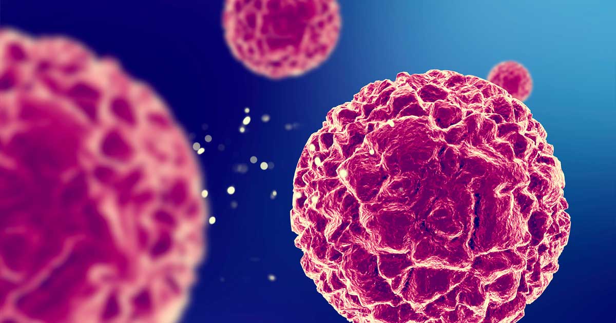 Action antitumorale du CBD