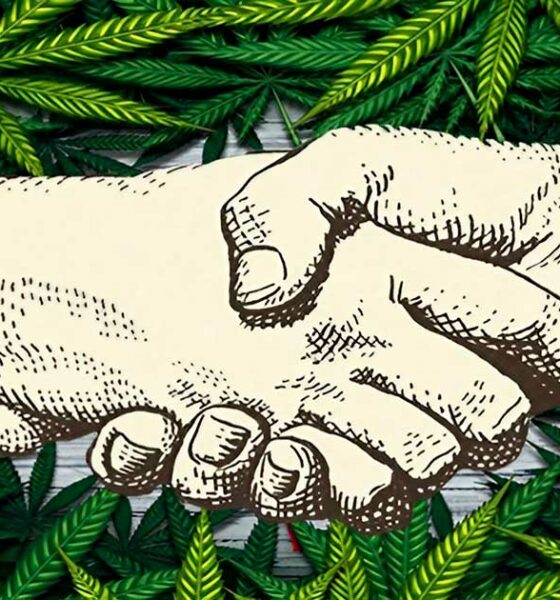 Fusions-acquisitions aux Etats-Unis