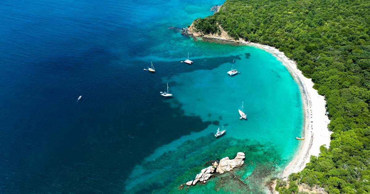 La Grenade légalie l'usage personnel du cannabis