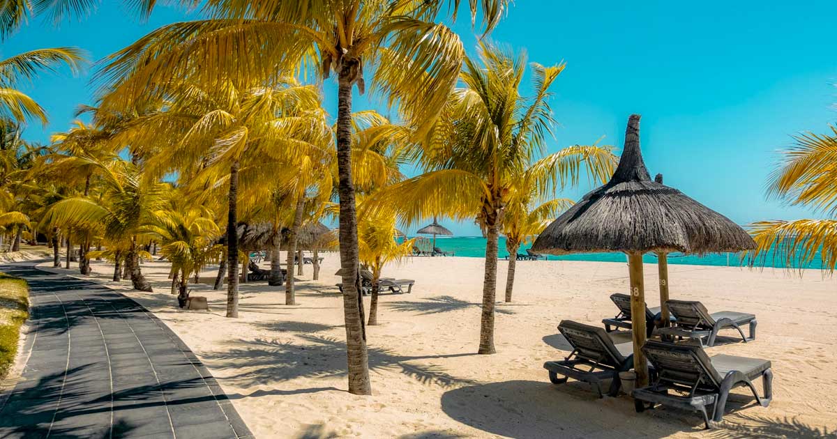 Maurice étudie la légalisation du cannabis