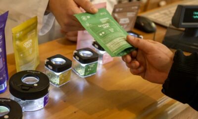 La méthode suisse pour légaliser le cannabis
