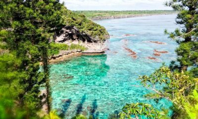 Chanvre en Nouvelle-Calédonie