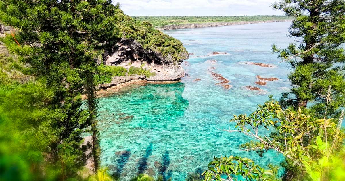 Chanvre en Nouvelle-Calédonie