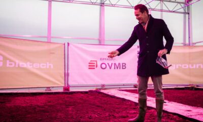 Du chanvre contre les PFAS à Gand