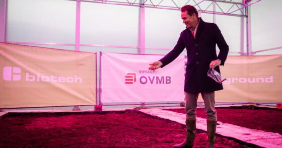 Du chanvre pour lutter contre les PFAS dans le port de Gand