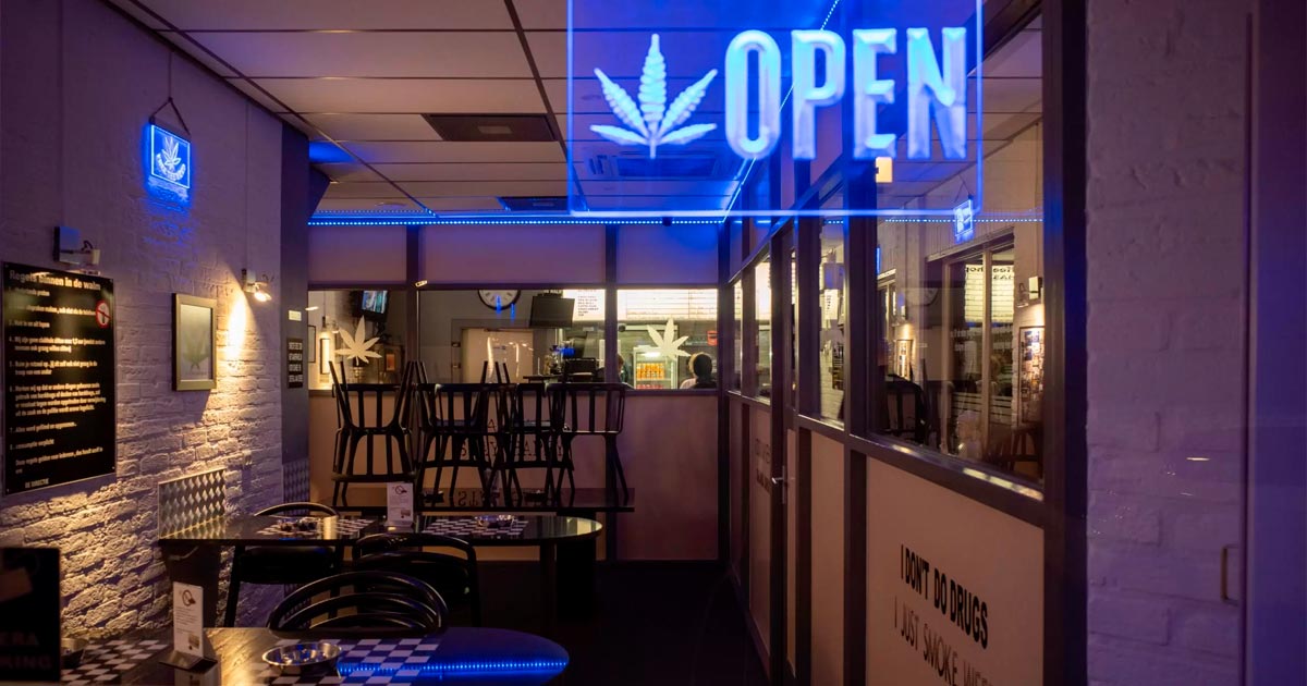 Légalisation complète du cannabis en Allemagne