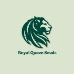 Royal Queen Seeds