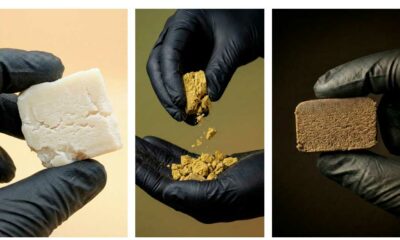 Les hashs CBD de la Maison Sativa