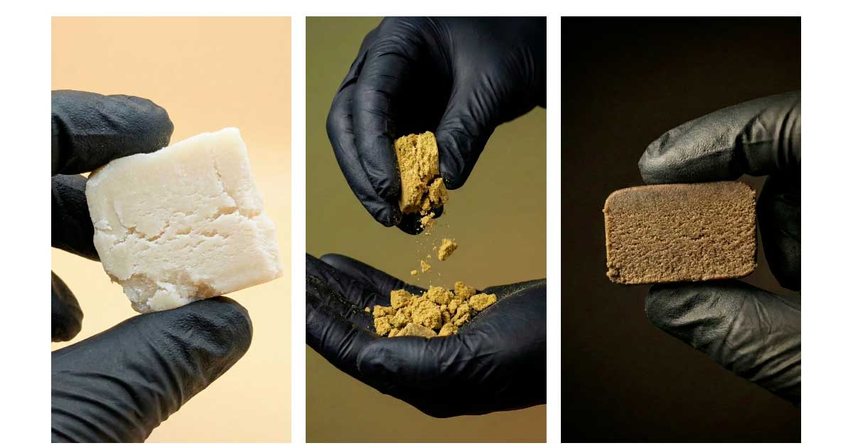 Les hashs CBD de la Maison Sativa