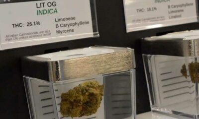 Vente publique de cannabis au Minnesota