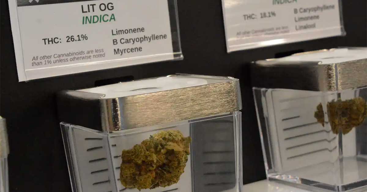 Vente publique de cannabis au Minnesota
