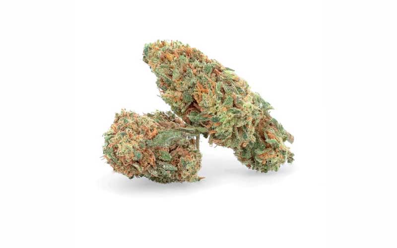 Orange Bud CBD