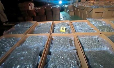 Saisies de cannabis médical en Macédoine du Nord