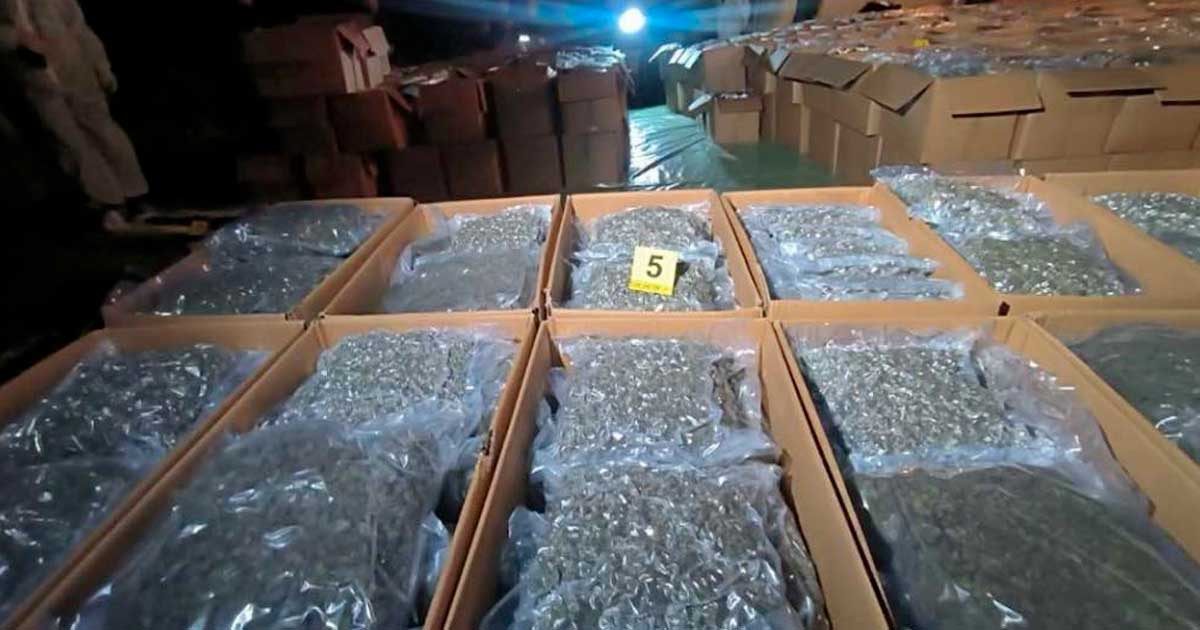 Saisies de cannabis médical en Macédoine du Nord