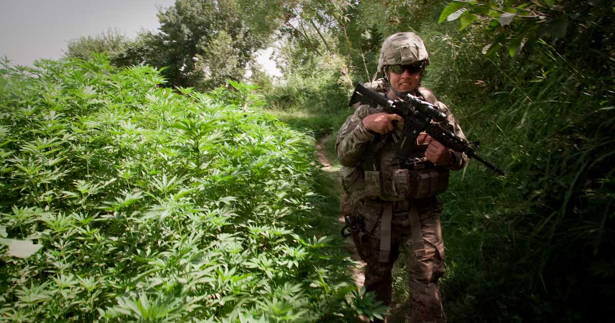 Armée américaine et cannabis