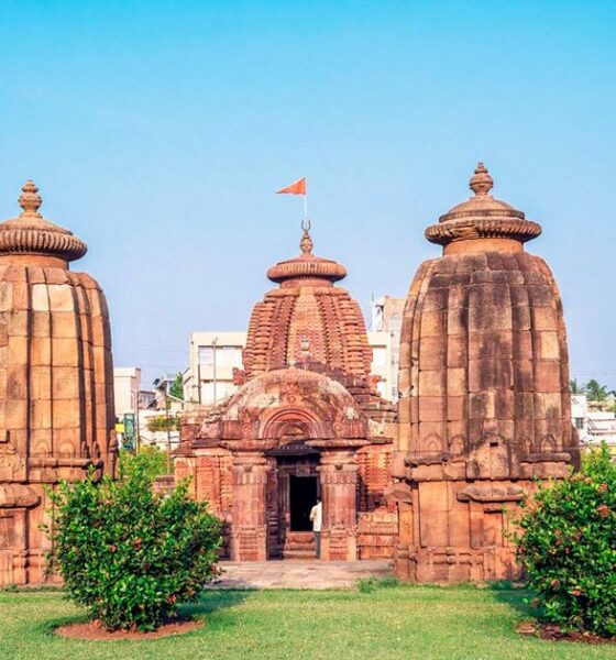 Recherches sur le cannabis en Inde