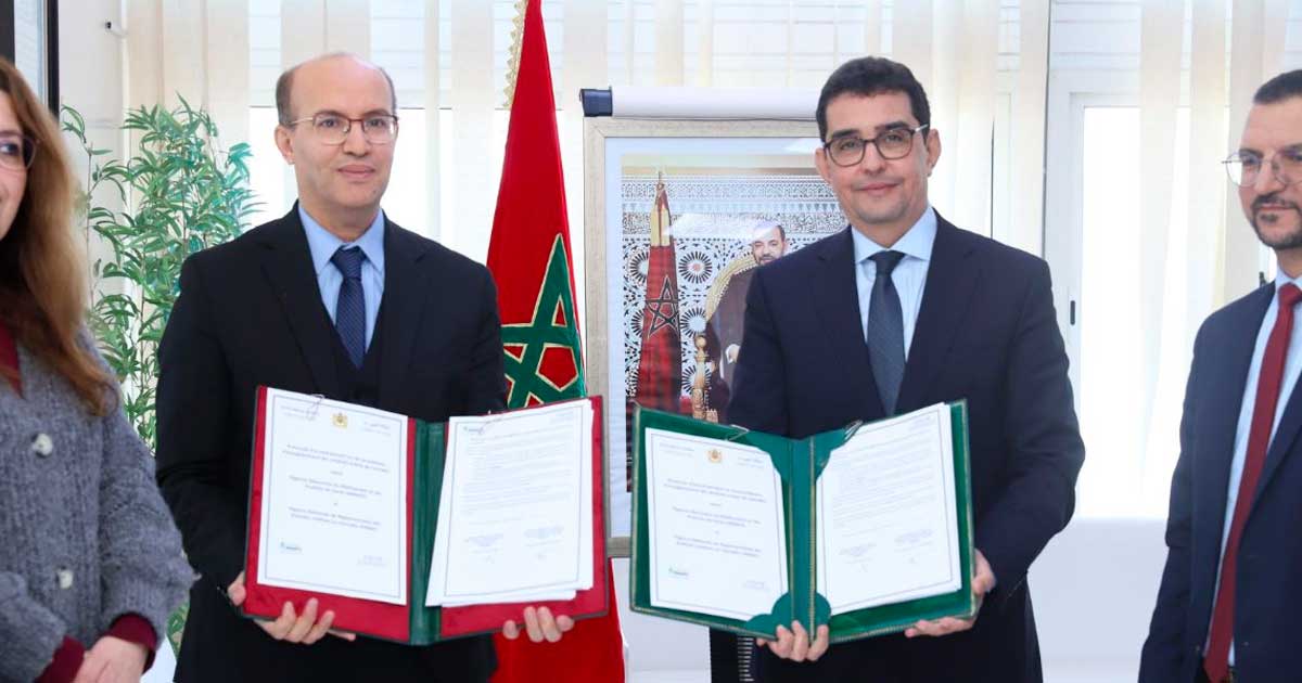 Simplification de l'enregistrement des produits du cannabis au Maroc