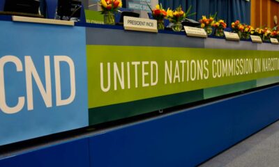 Le panel de la CND à l'ONU