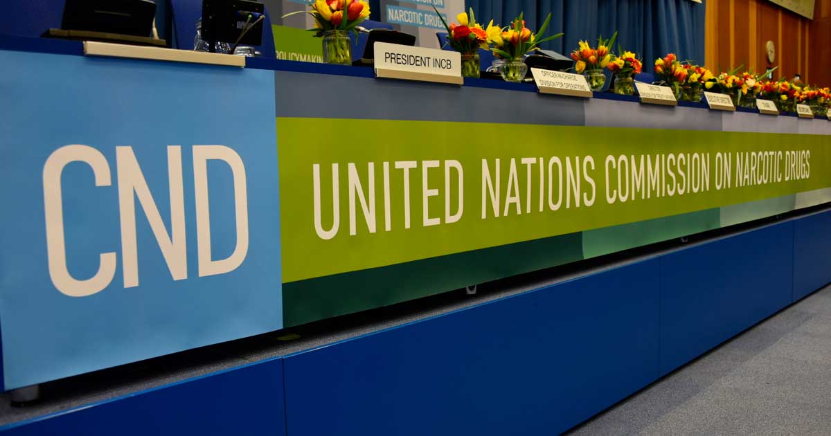 Le panel de la CND à l'ONU