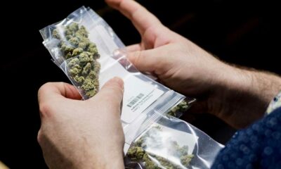 La police allemande réclame une meilleure légalisation du cannabis