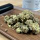Echecs du programme de cannabis médical en Irlande