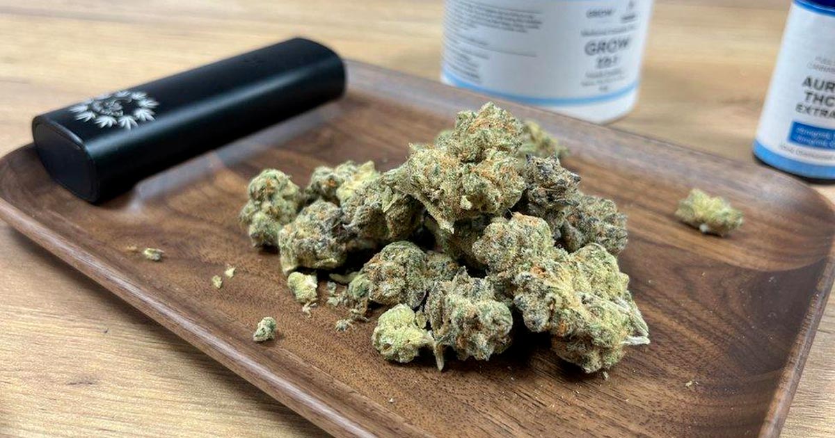 Echecs du programme de cannabis médical en Irlande