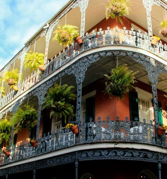 Cannabis médical en Louisiane