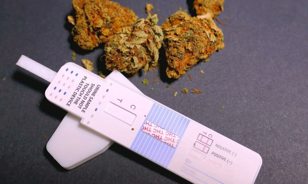elfbar nachfüll pod läuft aus CBD et test salivaire : quels produits peuvent vous faire perdre votre  permis ? — Histoire De Chanvre main image 1