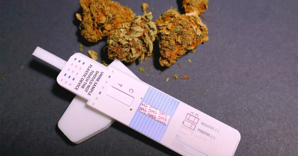 CBD et test de dépistage