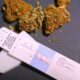 CBD and drug testing