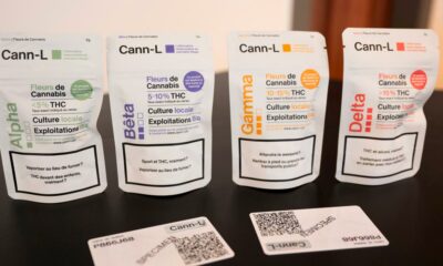 Expérience de légalisation du cannabis à Lausanne