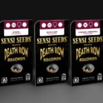Sensi Seeds and Death Row Records launch their cannabis strains